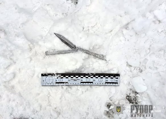 ���������� ���������: �� ����������� ��������� ��������� �� ������������