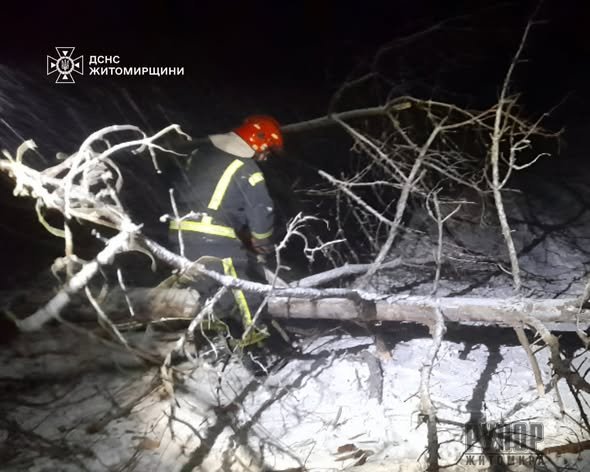 � �������������� ������ ������������ �������� ������� ������ � ������