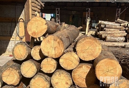 �� ����������� ��������� ������������ ������� �������� ����� ����������� ���������� ��� �� ����� ���������� �� �˳�� ������