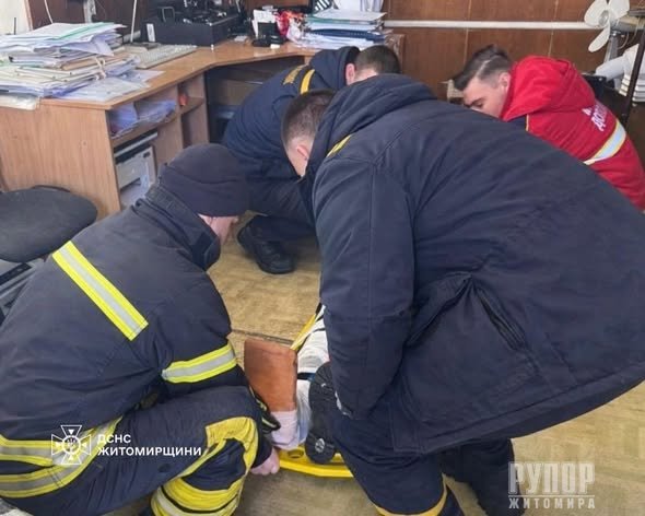 � ������� ������������ ��������� ������� �������������� ������������ ������� �� ������