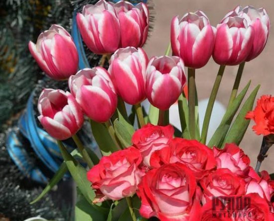 �� ��� �� ������ �������� ����������� ��������� ���� �����