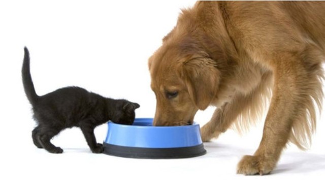  ������ �� ������ ����� ����� ���� �� �����.