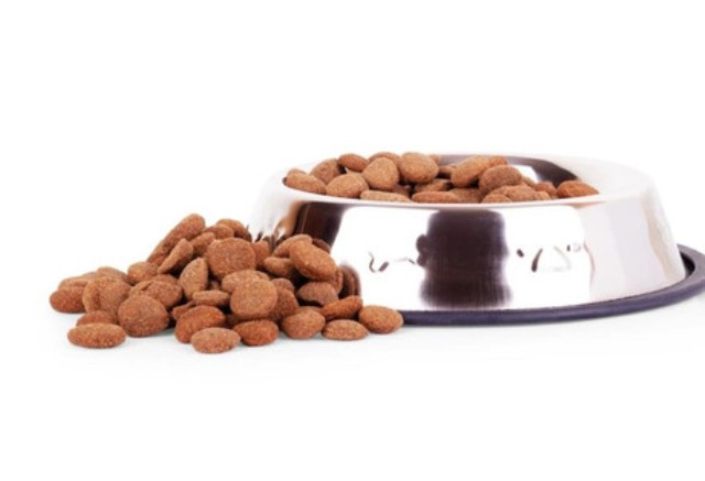  ����� ���� ��� ����� �� ���� ����� �� ������.