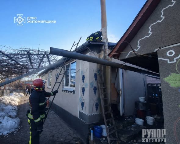 �������� ������ ���� �������� ���� ����� �������� �� �������� ����� � ��������� ������� ������������� ������