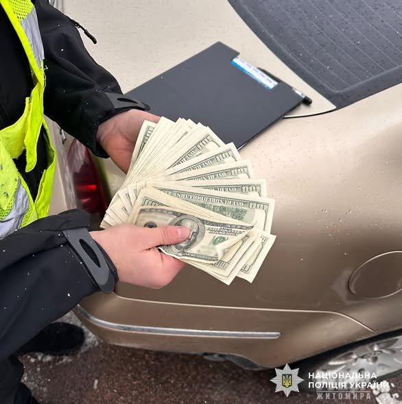 ������ �� 5600 ������: ��������� ����������� ��������� ����������� � ����������� ����