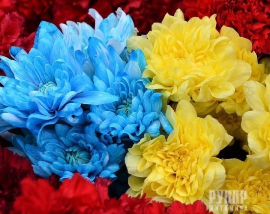 ������� ���������� �� �����-����������