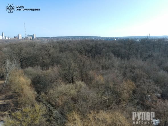 �� ����������� �������-������������ ������ �������� ��� ������������� ����� � �����������