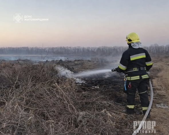 � ������������� ������ �� ��� ����������� ������ ���� ����� ����������� ������