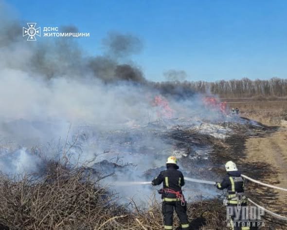 � ������������� ������ �� ��� ����������� ������ ���� ����� ����������� ������