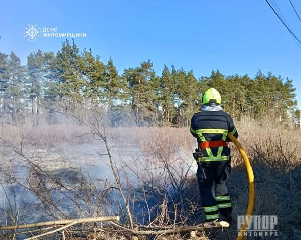 �� ����������� �������� �������� �� ��� ����� ���� ���������� ������������ ��� �����