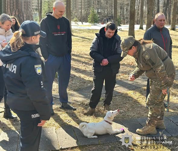 �� ����������� ������������� ������� ��� ������� ������������� ������ ��� ��������� ���������