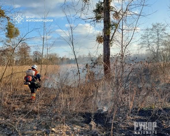 �� ����������� ������������ ���������� ����� � ��������� �����������