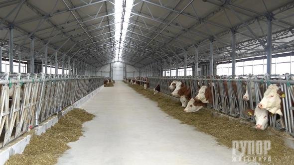 �� ����������� ������� ������� ��� ����������� ����������� ���������� ������� �� ���������� �������� ������������