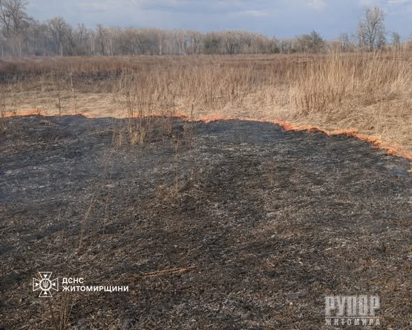 ������������ ����������� ����������� ������������ ����� � �����������