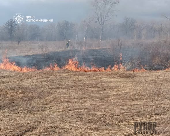 ������������ ����������� ����������� ������������ ����� � �����������