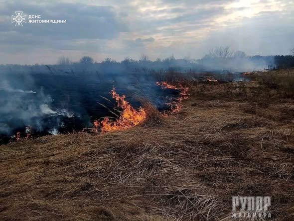 �� ����������� ������������ ��� ������� ����� � ��������� �����������