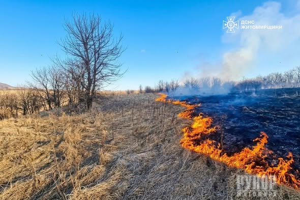 �� ����������� ������������ ����������� ����������� ����� � �����������