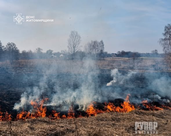 �� ����������� �� ���� ��������� 14 ����� � �����������