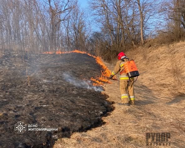 �� ����������� �� ���� ��������� 14 ����� � �����������