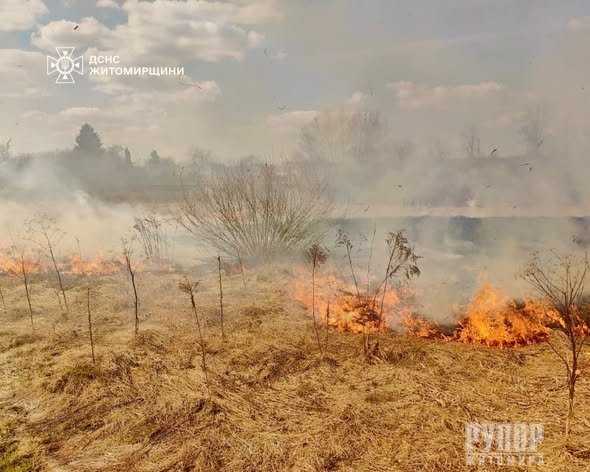 ������ ���� ������������ ����������� ��������� 22 ����� � ����������� ������