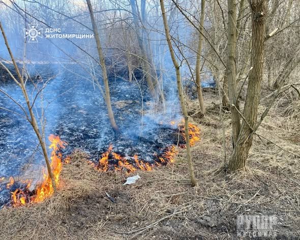 ������ ���� ������������ ����������� ��������� 22 ����� � ����������� ������