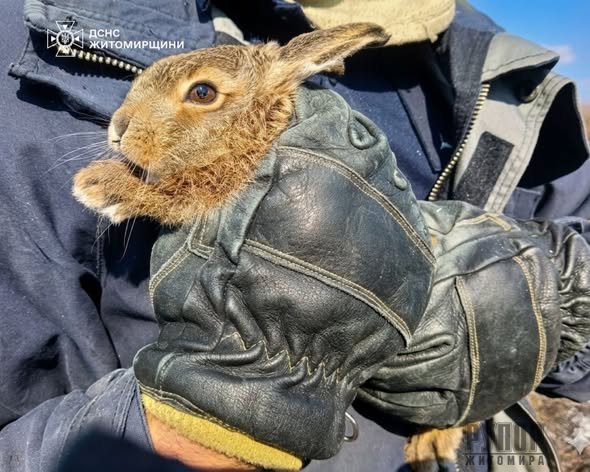 � ������������� ������ ������������  ��������� ������� �� ��� ����� ���� �����