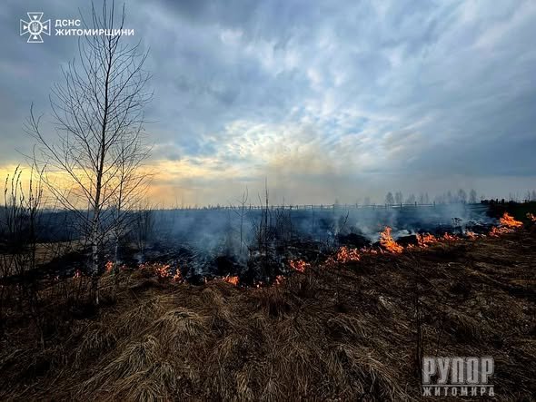 �� ���� � ����������� ������ ��������� 25 �������� ���� ����������