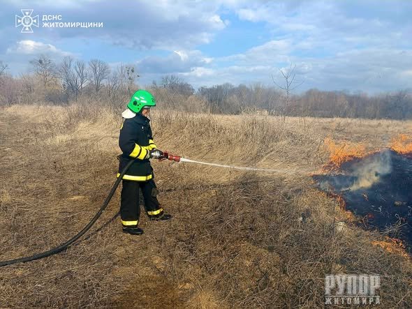 �� ���� � ����������� ������ ��������� 25 �������� ���� ����������