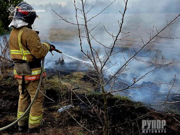 �� ���� � ����������� ������ ��������� 25 �������� ���� ����������