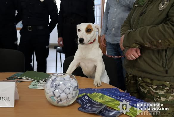 ������� ������� ��� ��������� � ���������: ��������� ����������� ���������� �� ����������