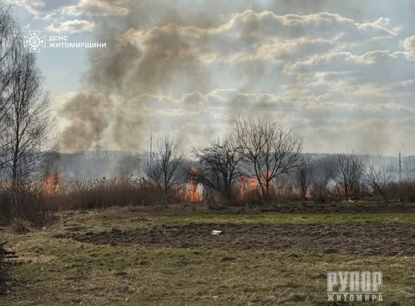 �������� ������ ���� �� ����������� ������������ ��������� 15 ����� �� �������� ���������