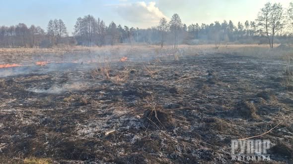 �������� ������ ���� �� ����������� ������������ ��������� 15 ����� �� �������� ���������