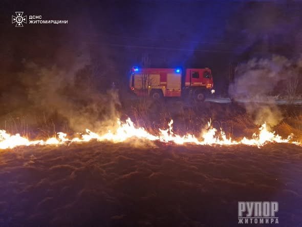 �� ����������� �������� ���� ������������ 29 ���� �������� �� ������ �������� ���� ����������