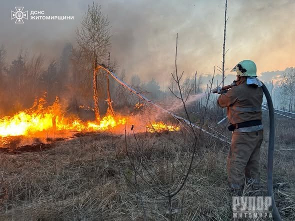 �� ����������� �������� ���� ������������ 29 ���� �������� �� ������ �������� ���� ����������