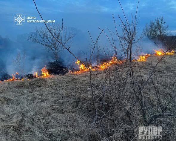 �� ������ ���� �� ����������� ���������� ��������� 20 ����� ���� ����������