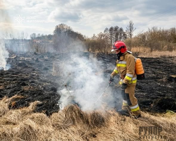 �� ������ ���� �� ����������� ���������� ��������� 20 ����� ���� ����������