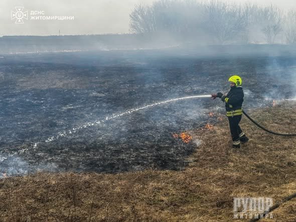 �� ����������� ����������� ����� ������� �� ���������