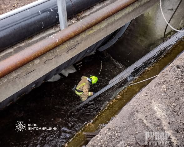 � �������������� ������ ������������ ��������� � ������ ���� �����