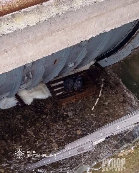 � �������������� ������ ������������ ��������� � ������ ���� �����