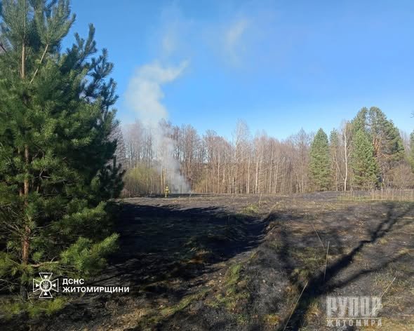 ������ ���� ����� �� ������������ ������� ������� ��������� ������� �� ���������� �������