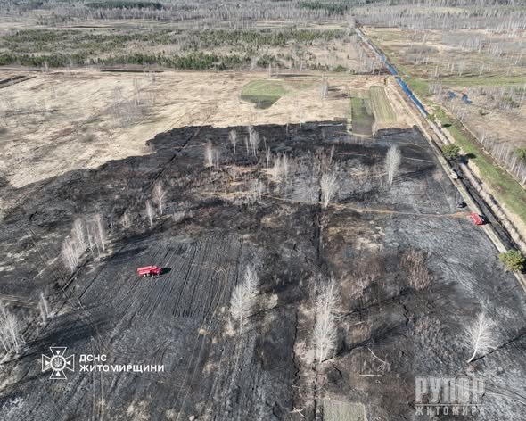 �������� �����������: �� ���� �������� ����