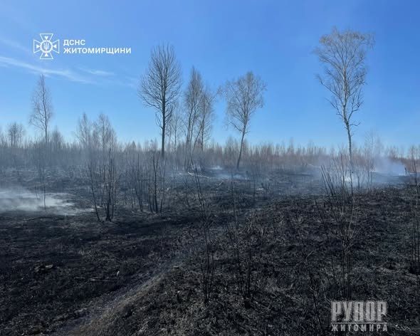 �������� �����������: �� ���� �������� ����