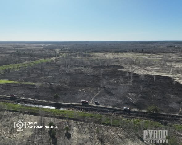 �������� �����������: �� ���� �������� ����