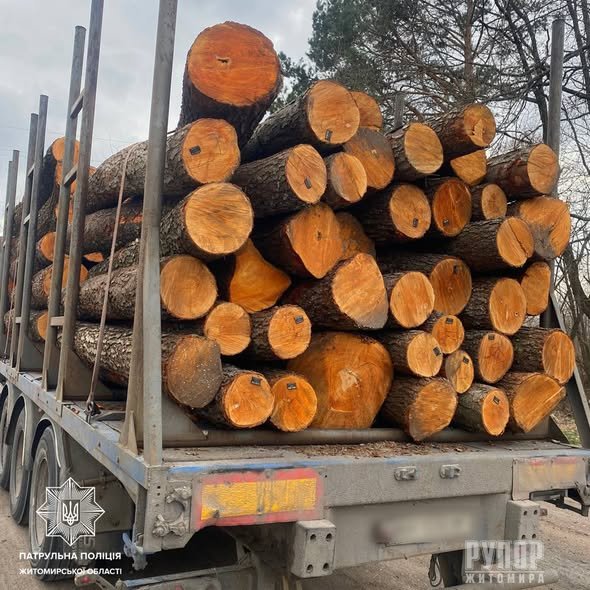 �������� �������� ����� �� ����������� �������� 10 ����� ��������� ������ ��������������� ������������