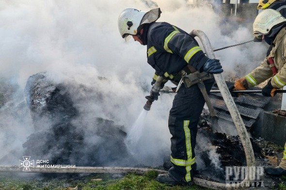 � ������� ������������ �������� ������ �� ������� ����������