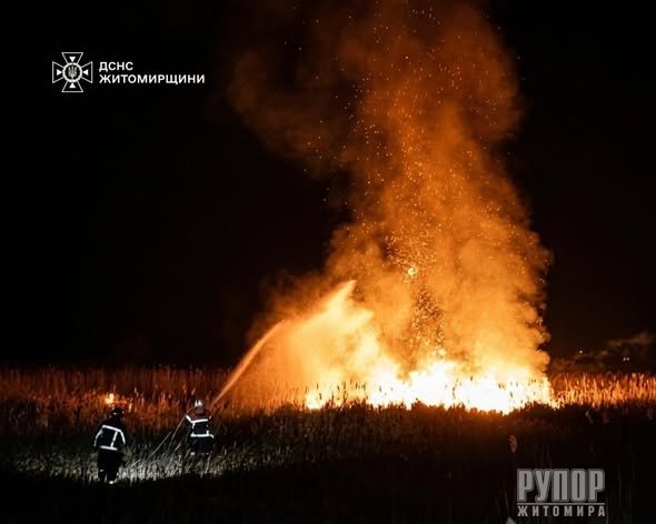 ����� ������������ ����������� ����� ���������� �� ������ ����� �� �������� ���������