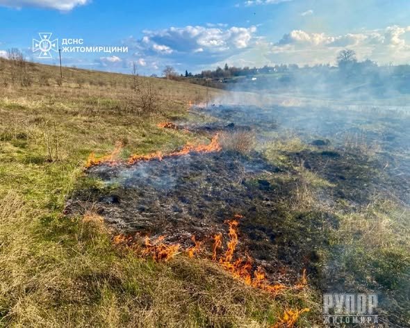 ����� ������������ ����������� ����� ���������� �� ������ ����� �� �������� ���������