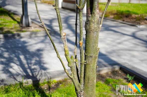 � �����, �� �� ��� ������ ������������ � ����������, ������ �������  ���������� ����� ������