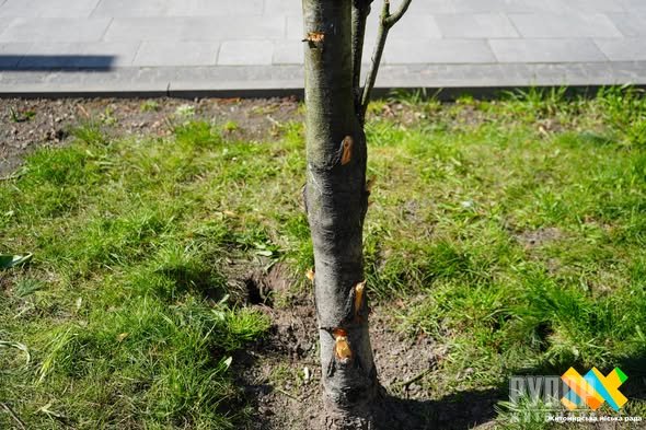 � �����, �� �� ��� ������ ������������ � ����������, ������ �������  ���������� ����� ������