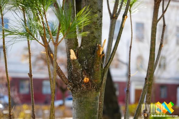 � �����, �� �� ��� ������ ������������ � ����������, ������ �������  ���������� ����� ������